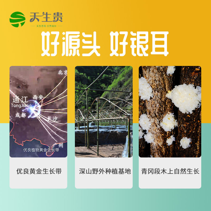 Naturally Produced Guichang Tremella, First-Grade Linden Wood White Fungus, a Specialty of Bazhong, Sichuan, Dry Goods Without Sulfur, Suitable for Pregnant Women