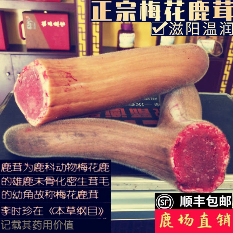 Plum Blossom Antler Whole Sheet Fresh with blood whole Dried Slices Blood Slice of Wine Pot soup Chinese herbal medicine Male 50 gr-Taobao