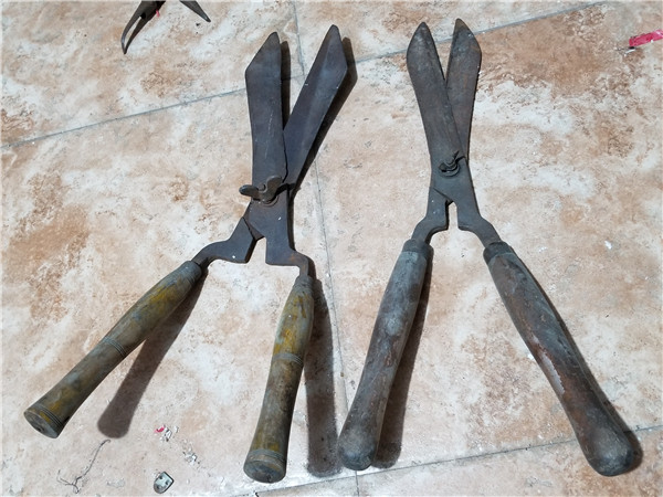 Large number of iron clippers gardening clippers 50 cm left out of the