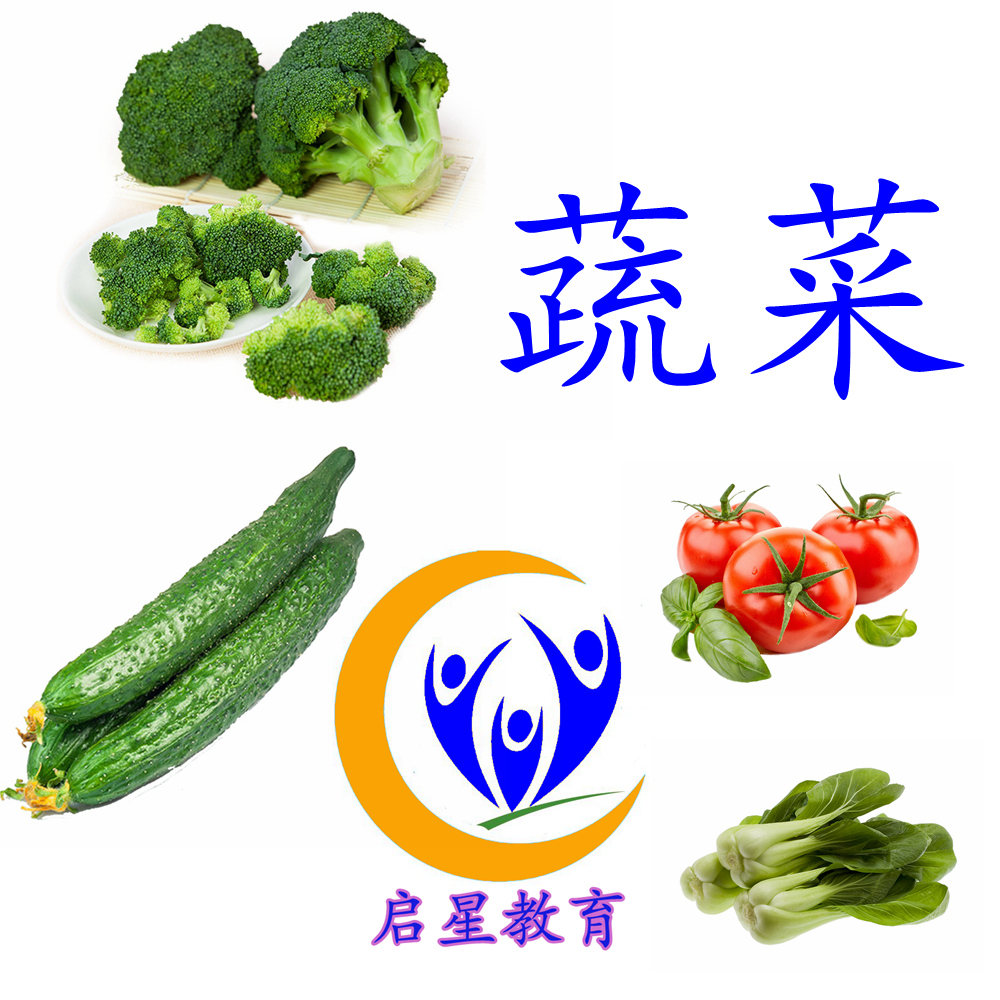 Vegetable card Autistic autism ABA teaching practice card Children's language training Rehabilitation training Early teaching aids