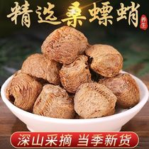 Mulberry octopus Chinese medicinal materials Mantis ootheca seed mulberry ovate sheath throat nitrate mulberry whore octopus mulberry ticket octopus