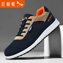 Red Dragonfly Mens Shoes Summer Sports Casual Shoes Man Net Face Breathable Single Shoes Middle-aged Dad Shoes Brands Shoes Light