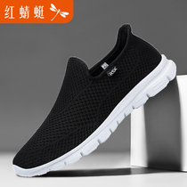 Red Dragonfly Mens Shoes Soft Bottom Mesh Face Shoes Man One Foot Pedal Breathable Sloppy Shoes Light Dad Driving Shoes Summer Shoes