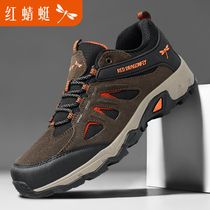 Red Dragonfly Mens Shoes Climbing Shoes Mens Summer Outdoor Sports Waterproof Anti-Slip Wear and Hiking Casual Shoes Breathable Shoes