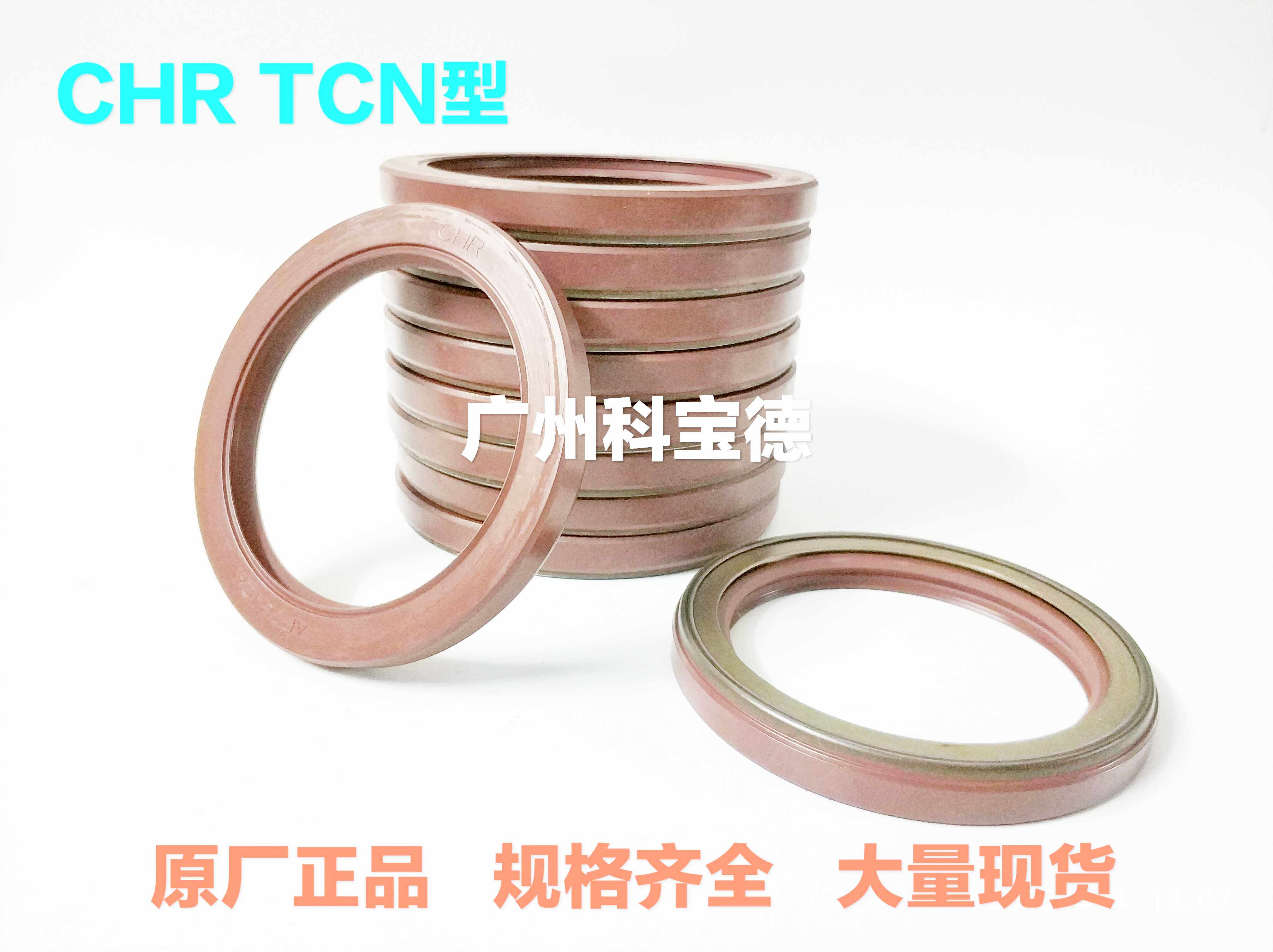CHR AP3994A TCN95*120*13 Fluorine Rubber Oil Seal