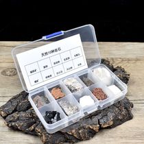 Rock mineral sample box fourth grade crystal ore display stone science teaching material geological science equipment