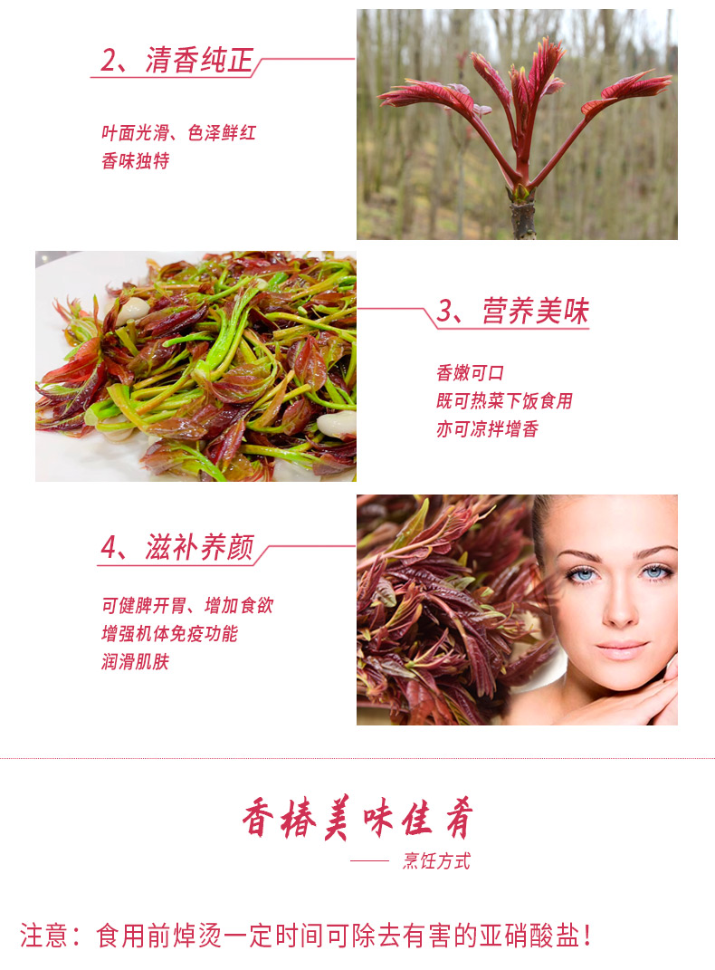 千谷恋 头茬红油香椿芽 2斤 图5