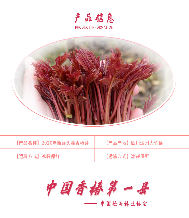 千谷恋 头茬红油香椿芽 2斤 图3