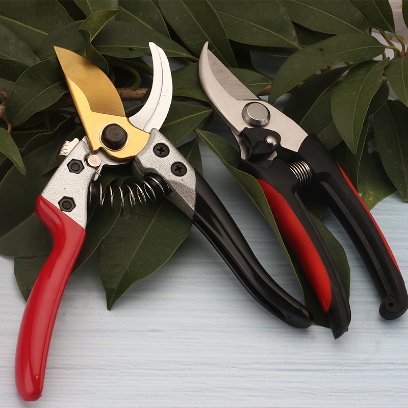 Garden scissors Germany 5 chromium manganese steel fruit tree pruning scissors Strong branch scissors Garden labor-saving rebound branch scissors