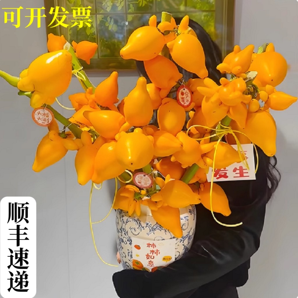 五代同堂福祿果 黃金果乳茄果4kg長壽果插花年宵花卉