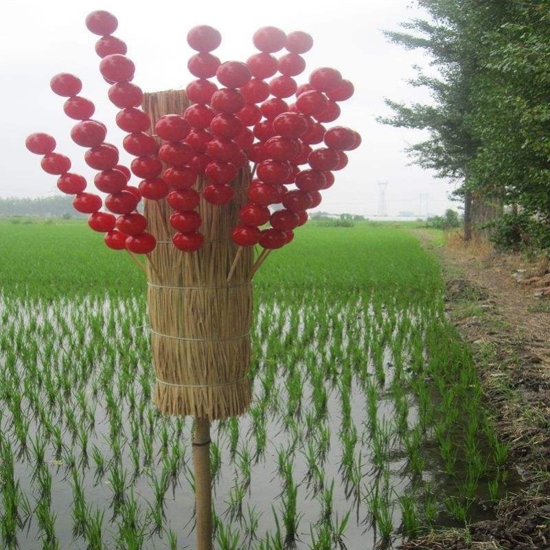 Ice Sugar Gourd Rod Special Grass Target Straw straw display frame Photographic Shelf Wooden creative retro shoulder anti-swing stand-Taobao