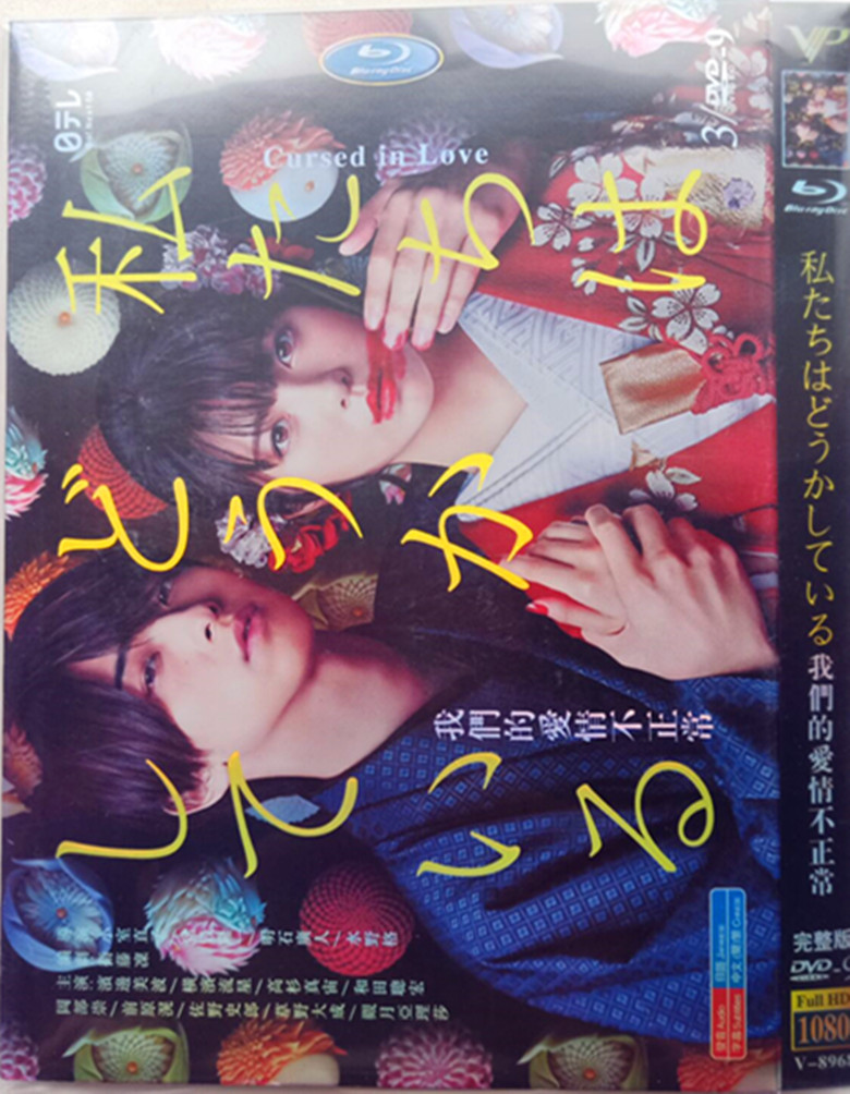 Our love is not normal HD version Hammerside Meibo Japanese Chinese character Japanese drama DVD disc CD