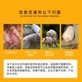 Здоровая мать -в -in -law jianzheng свиньи с сокровищами, тремя сокровищами, производят больше эстральных слезоточивых мест, добавившихся