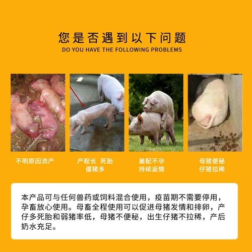 Здоровая мать -в -in -law jianzheng свиньи с сокровищами, тремя сокровищами, производят больше эстральных слезоточивых мест, добавившихся