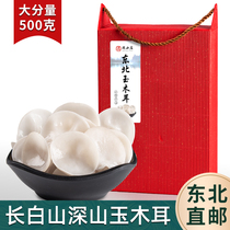 Jade fungus dried goods 500g wild northeast specialty from white jade fungus raw grade Jilin Province bulk