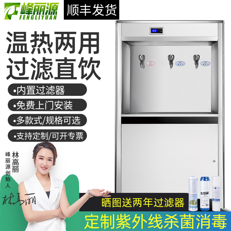 Peak Liyuan Cabinet Straight Drinking Water Dispenser Kindergarten Factory School Company Stainless Steel Commercial Multilevel Filter Water Boiler