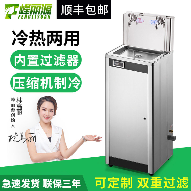 Peak Liyuan Commercial Standing Straight Water Dispenser Open One Ice Multilevel Filter Hot And Cold Dual-use With Refrigeration Water Dispenser