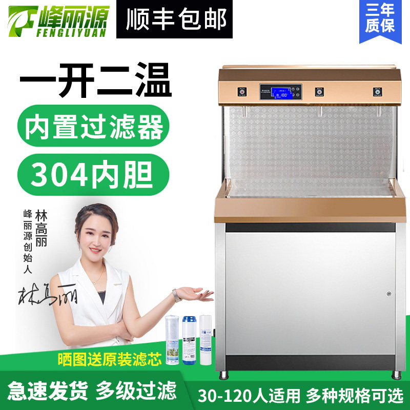 Peak Liyuan Stainless Steel Straight Water Dispenser Commercial School Factory Kindergarten Filter Fully Automatic Electric Heating Stove Boiler