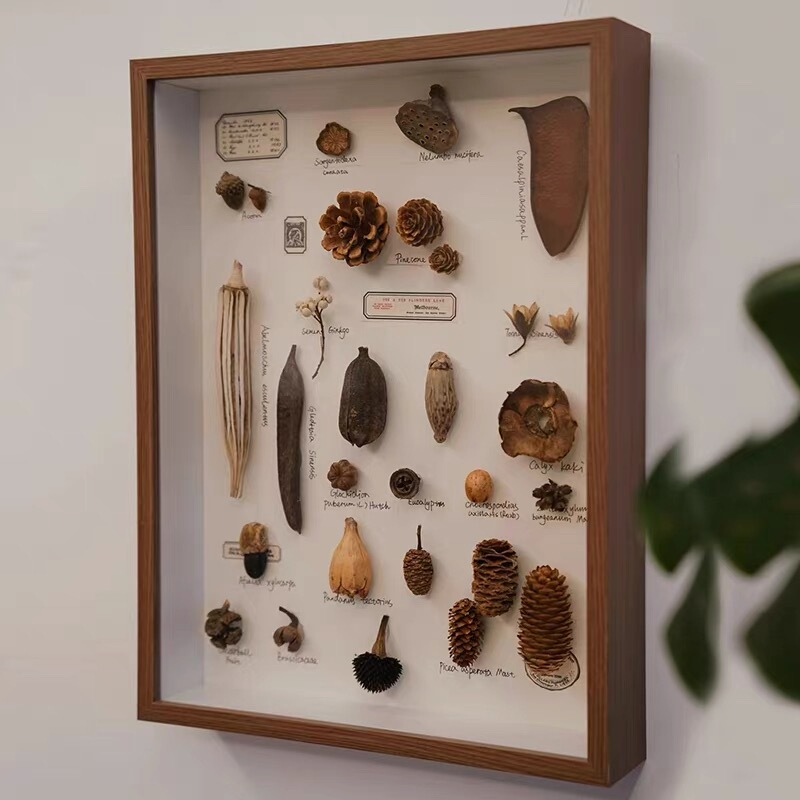 DIY Handmade Photo Frame, Three-Dimensional Hollow Specimen Frame, Shell, Stone, Plant, Dried Flower Collection, Preservation, Display, Picture Frame