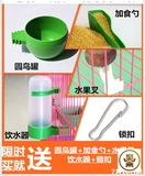 Тигр пион попугай для птичьей клетки Текст птица клетки маленькая птичья клетка дом птичья клетка для пит -птицы бесплатная доставка