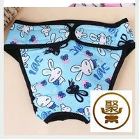 Sky Blue Rabbit-267-713