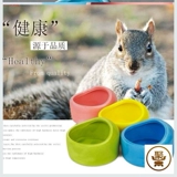 Керамическая чаша с керамической коробкой из чаши, морская свинка ест круглую пищевую миску толстую анти -шлюзируемую кормку домашние животные