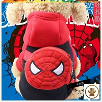 Маленький паук -паук