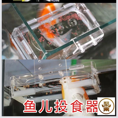 Артефактное кормление рыб, акриловая кормушка с кольцом для кормления, плавающее прозрачное кольцо для кормления, подвесная большая кормушка