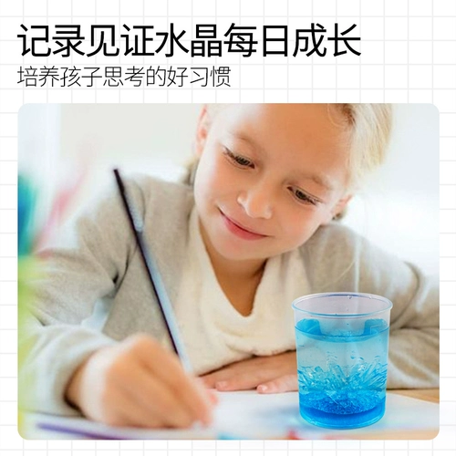 Игрушка для выращивания растений для экспериментов для школьников для детского сада, «сделай сам», наука