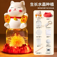 【Chaocao Crystal】 Дайте атмосферу свет + ящик дисплея