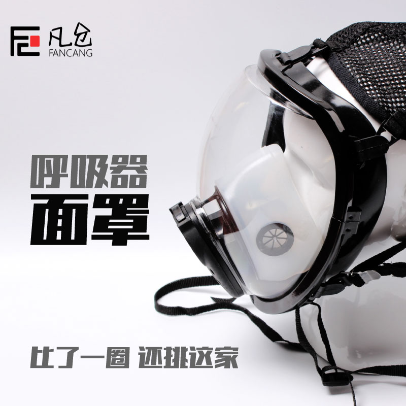 Gas mask Respirator Full cover Air respirator with spherical full cover Electric air supply mask