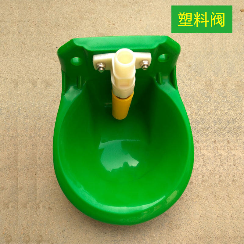 羊毛般温柔的秘密！揭秘羊水的爱称由来✨