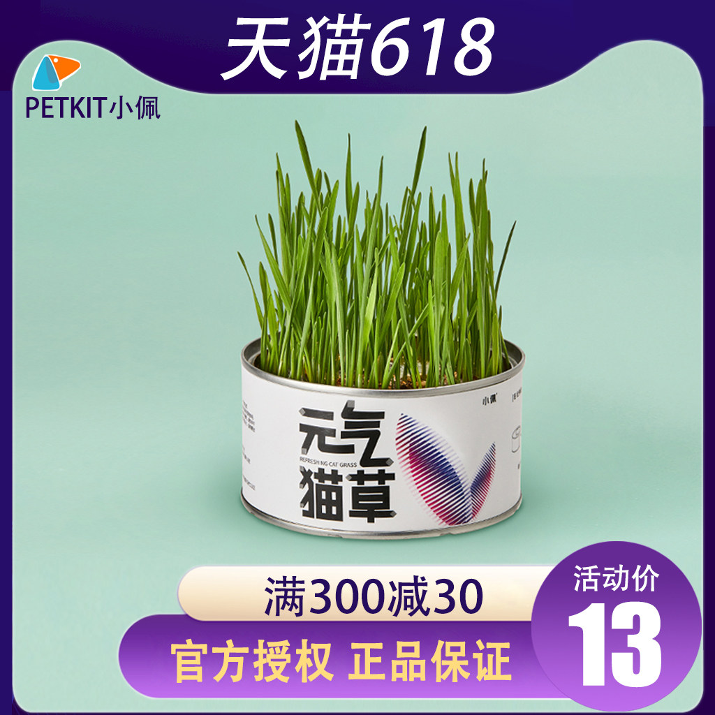 Xiaopei Yuanqi Cat Grass Seeds Catnip Hydroponic Cat Snacks Hair Removal Ball Cream Potted Plant Set Cat Supplies