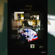 Aimer | insane dream us | FC first edition postcard full poster spot