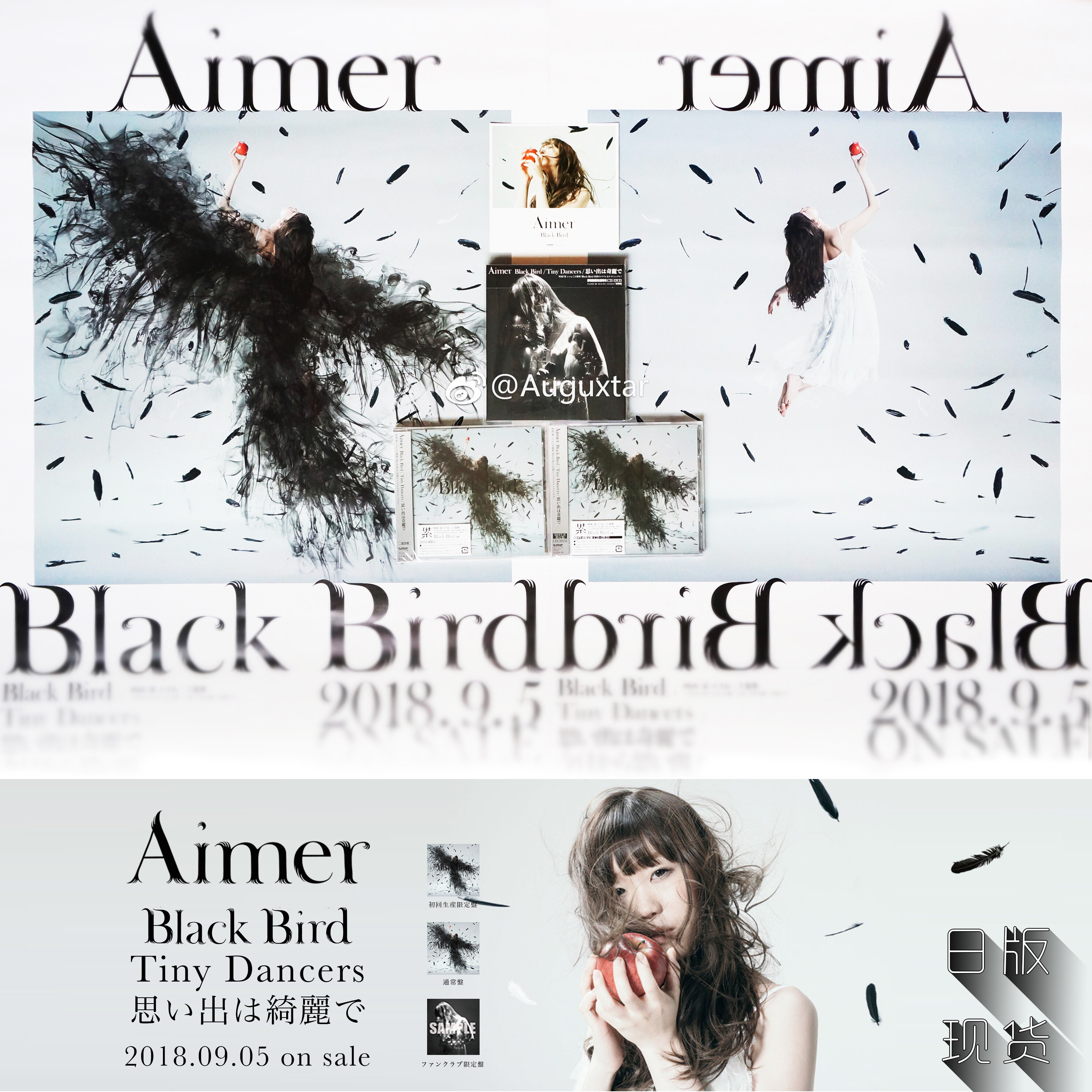 Aimer｜Black Bird｜Tired FC First Return Poster Sticker Tour Autograph Spot