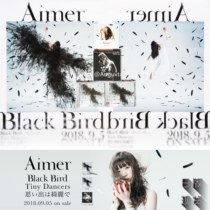 Aimer | Black Bird | Tired FC first-time poster sticker tour autograph spot
