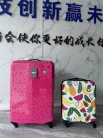 Модель фруктов Ultra -Продолжительность внешней торговли специальное предложение специальное предложение