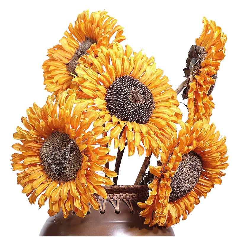 Dried flower oversized sunflower flower simulation flower long branch creative simple living room decoration dried flower decoration tabletop