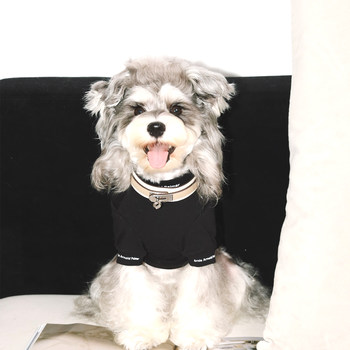 Bobobby Pet Collar, Palm Print Genuine Leather, Color-Blocked, Small Dog, Greyhound Dog Pet Collar, Wide Neck Collar