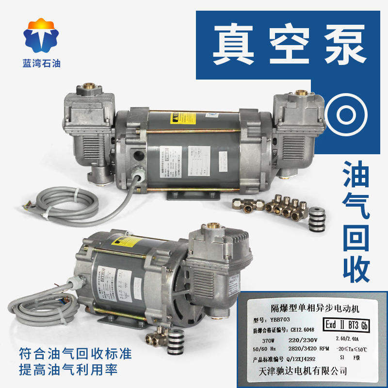 Oil & Gas Recycling Vacuum Pump 380V220V Tianjin Gallop Explosion-proof Motor DURR Touré vacuum pump refueling pumps