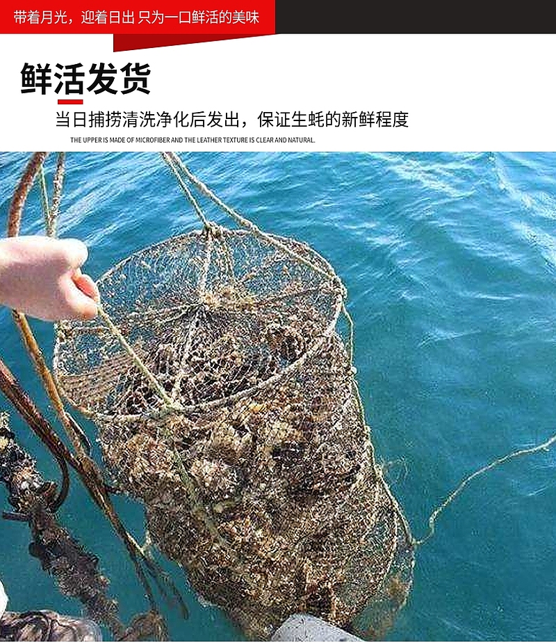 男人的加油站 航海日记 乳山新鲜生蚝牡蛎 5斤 图4