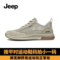 Песчаный цвет (полая модель)