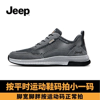 Серый (пустая модель)