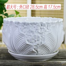 Multi-meat flower pot large number of large number of potted green radish indoor ceramic flower pot minimalist clear cabin cartoon creative flower pot