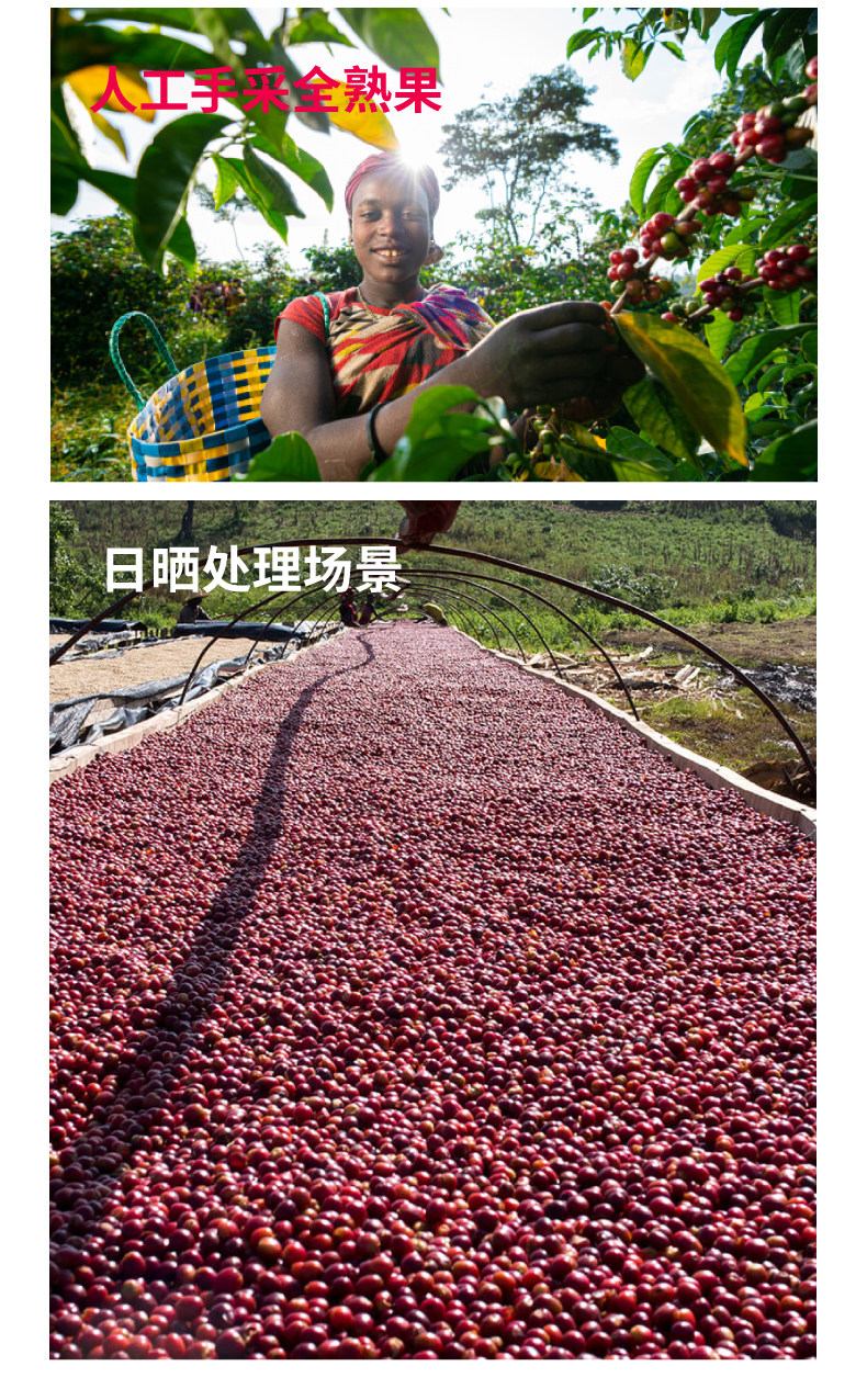 Подробная информация о Ruixia village_05.jpg