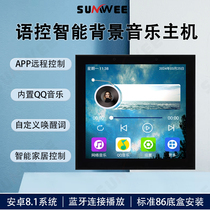 Voice control intelligent background music host controller smart home central control screen embedded home player
