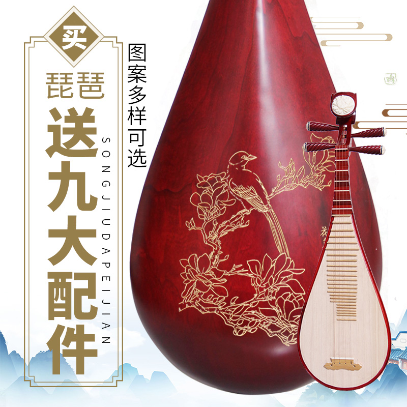 Van Nest Exercises Beginology Introductory Adults Children Pipa Musical Instruments Hardwood wood panel students take the violin-Taobao