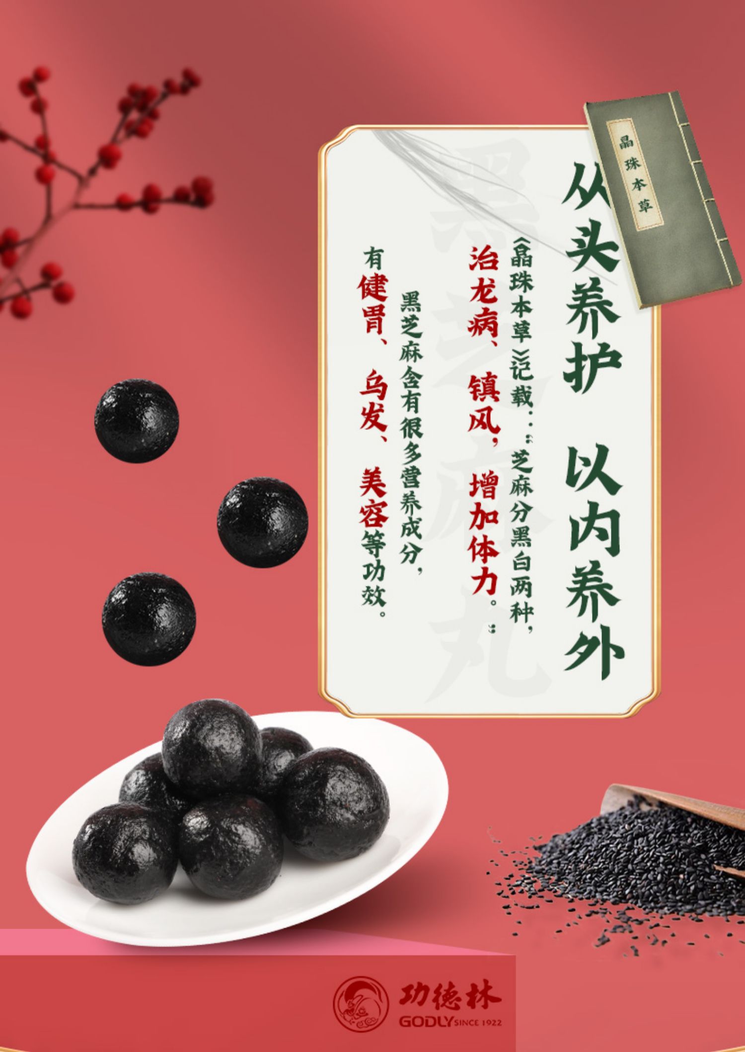 【功德林】以黑养黑黑芝麻丸80g