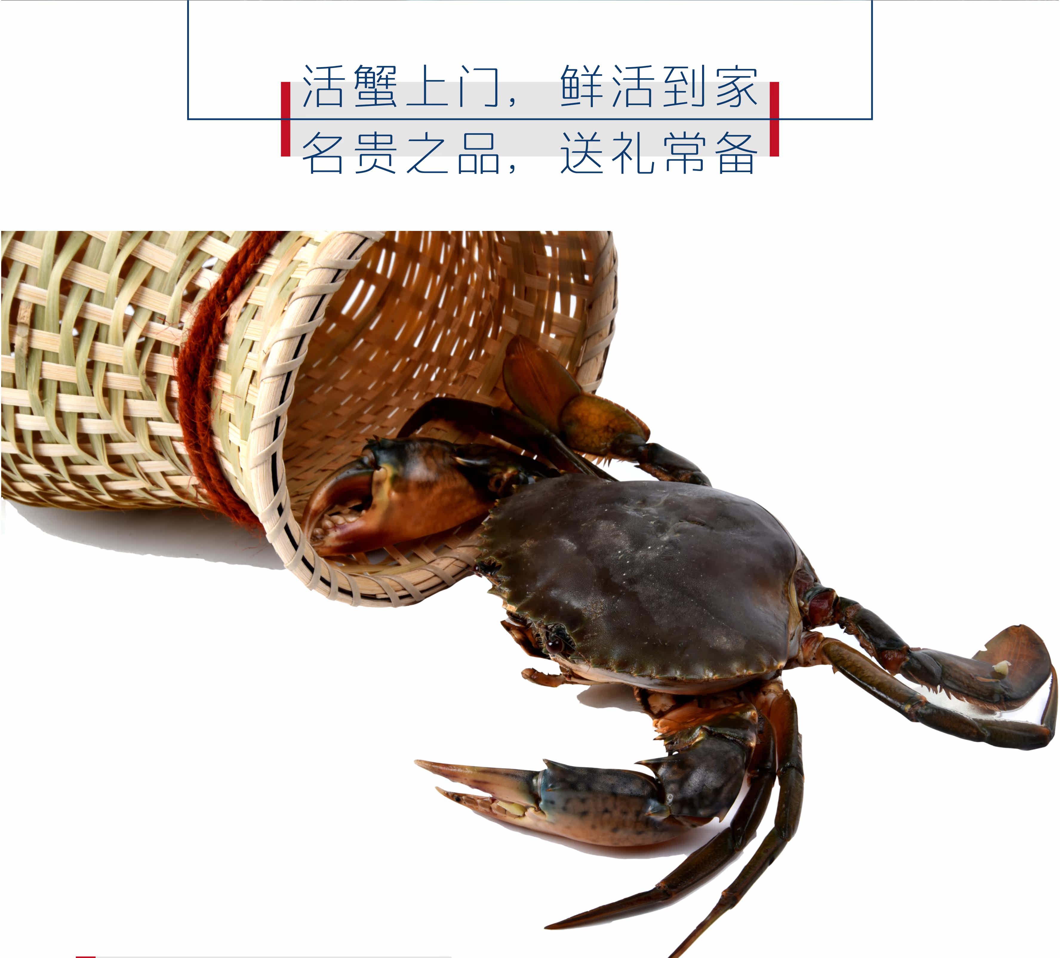 Крабов-красные циклы-первая половина Half_06.jpg