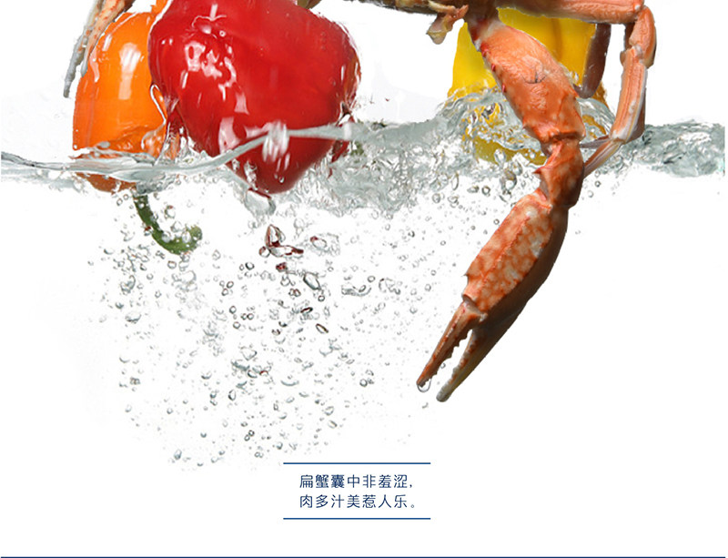 Краб-2 кот плоских крабов (1) _02.jpg